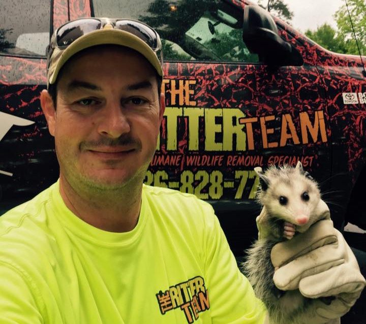 Mike Garrett Owner of The Critter Team Wildlife Removal Company