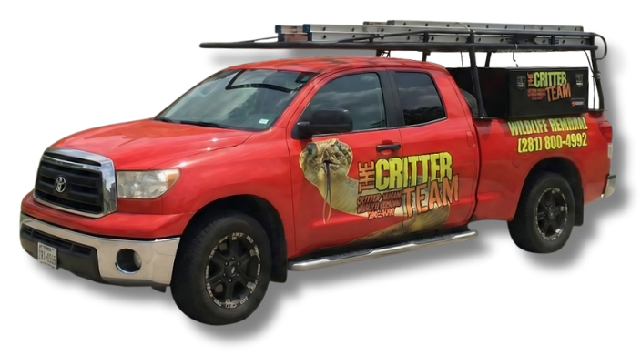 The Critter Team Work Truck