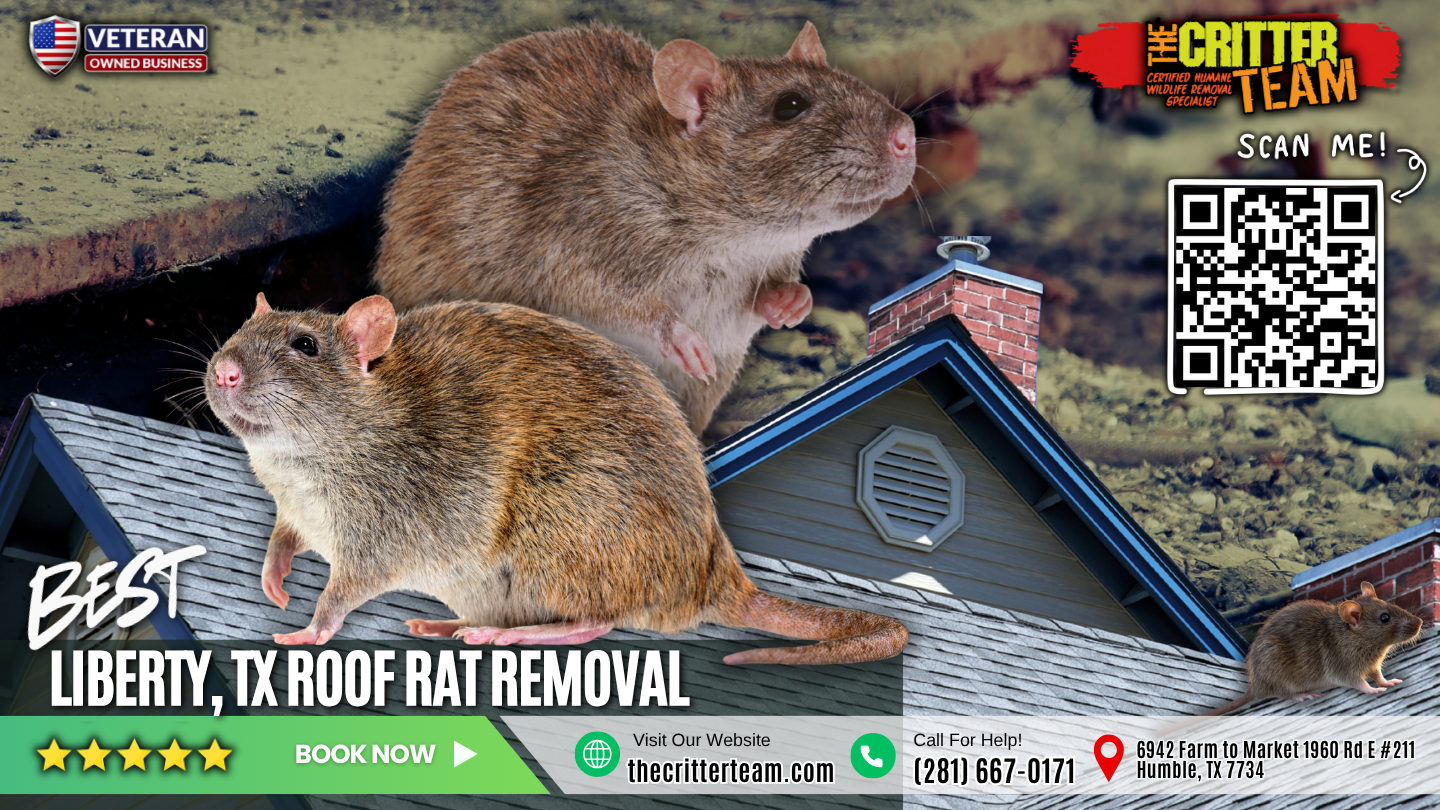best roof rat removal in Liberty