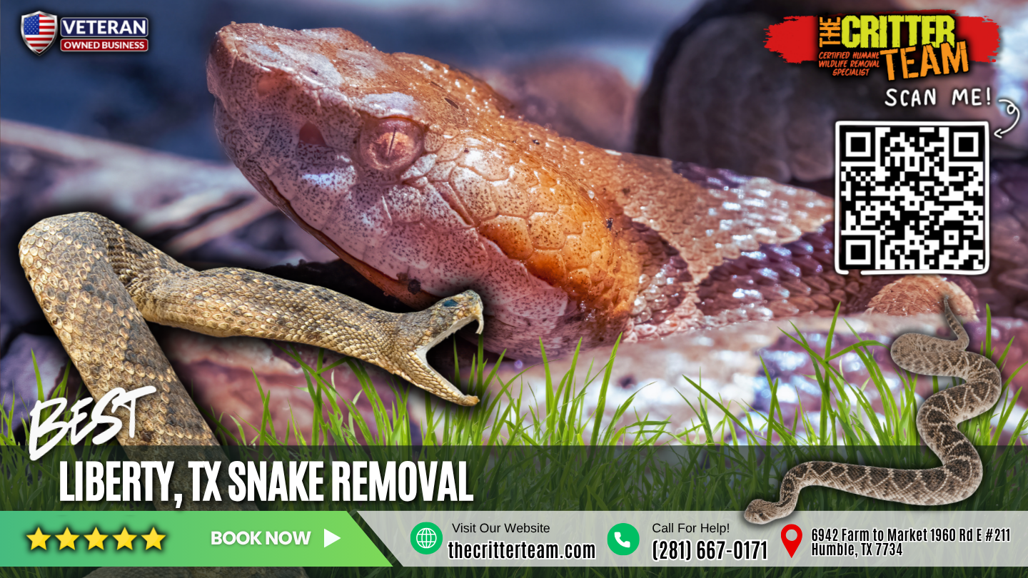 best snake removal in Liberty