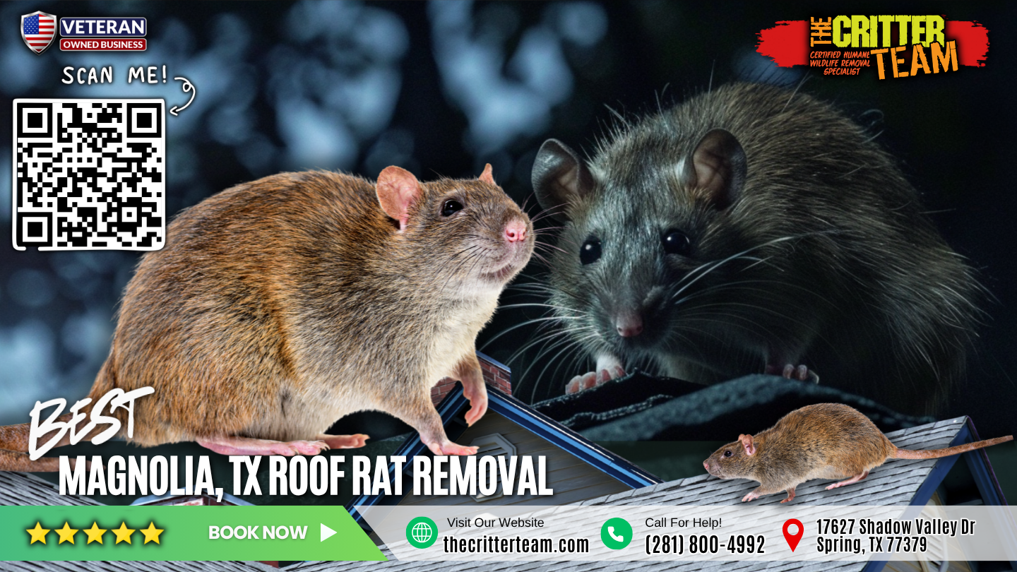 best roof rat removal in Magnolia
