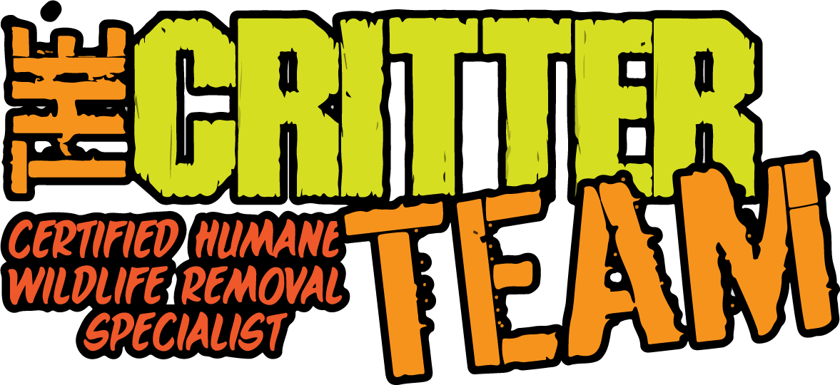 The Critter Team (281) 667-0171