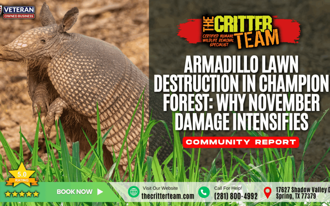 Armadillo Lawn Destruction in Champion Forest: Why November Damage Intensifies