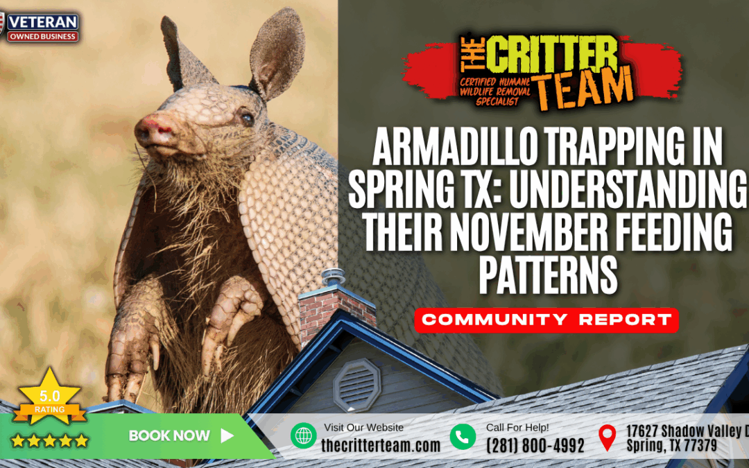 Armadillo Trapping in Spring TX: Understanding Their November Feeding Patterns