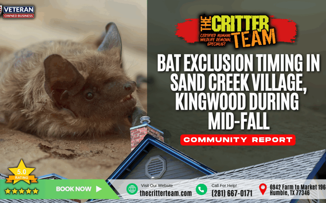 Bat Exclusion Timing in the Sand Creek Village Neighborhood of Kingwood, TX During Mid-Fall