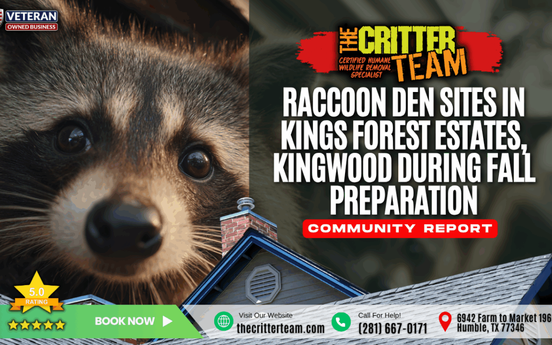 Raccoon Den Sites in the Kings Forest Estates Neighborhood of Kingwood, TX During Fall Preparation