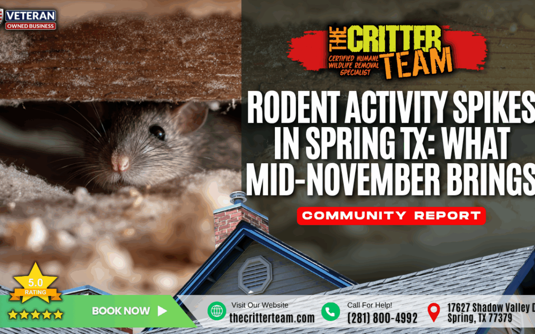 Rodent Activity Spikes in Spring TX: What Mid-November Brings