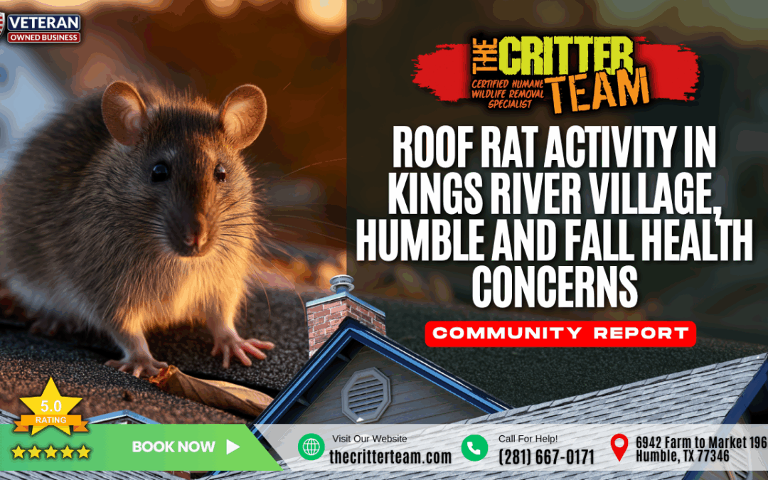 Roof Rat Activity in Kings River Village, Humble and Fall Health Concerns