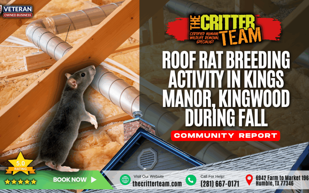 Roof Rat Breeding Activity in Kings Manor, Kingwood During Fall