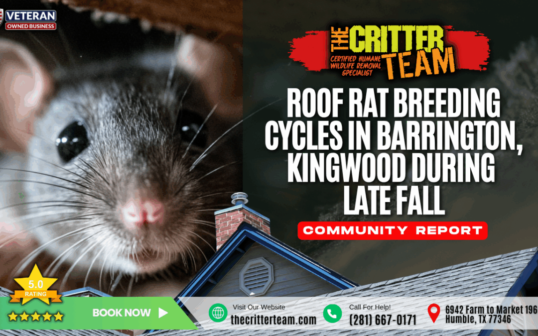 Roof Rat Breeding Cycles in Barrington, Kingwood During Late Fall