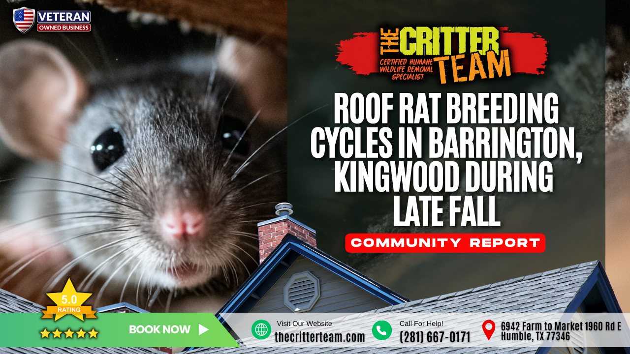 Channel Rats Texas Roof Rat Breeding Cycles in the Barrington Neighborhood of Kingwood, TX ...
