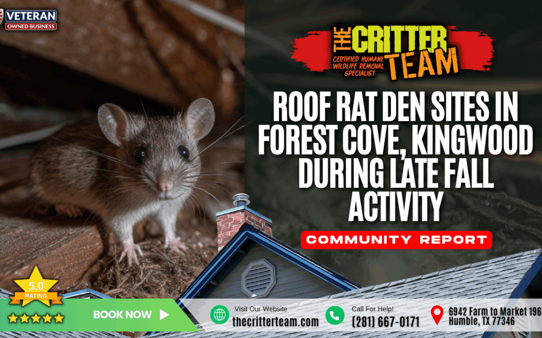 Roof Rat Den Sites in Forest Cove, Kingwood During Late Fall Activity