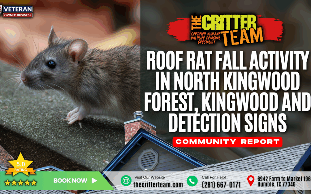 Roof Rat Infestations in the Kingwood Greens Neighborhood of Kingwood, TX During Fall Cold Weather