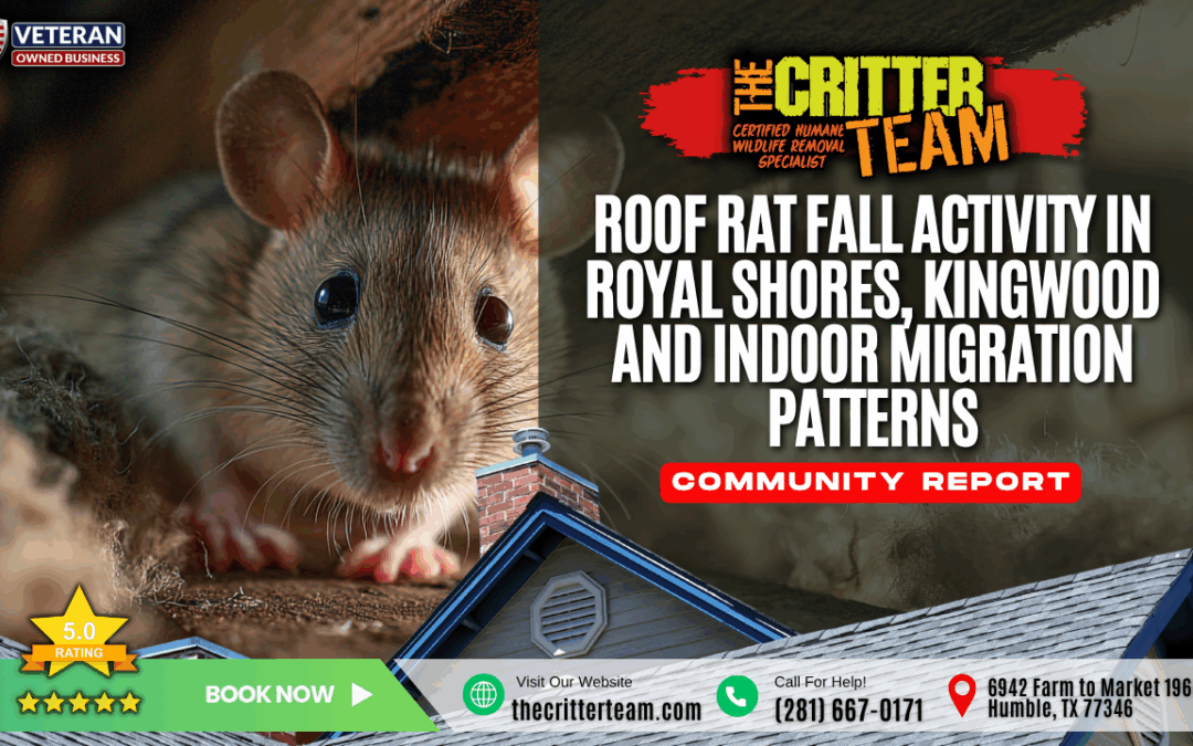 Roof Rat Fall Activity in the Royal Shores Neighborhood of Kingwood, TX and Indoor Migration Patterns