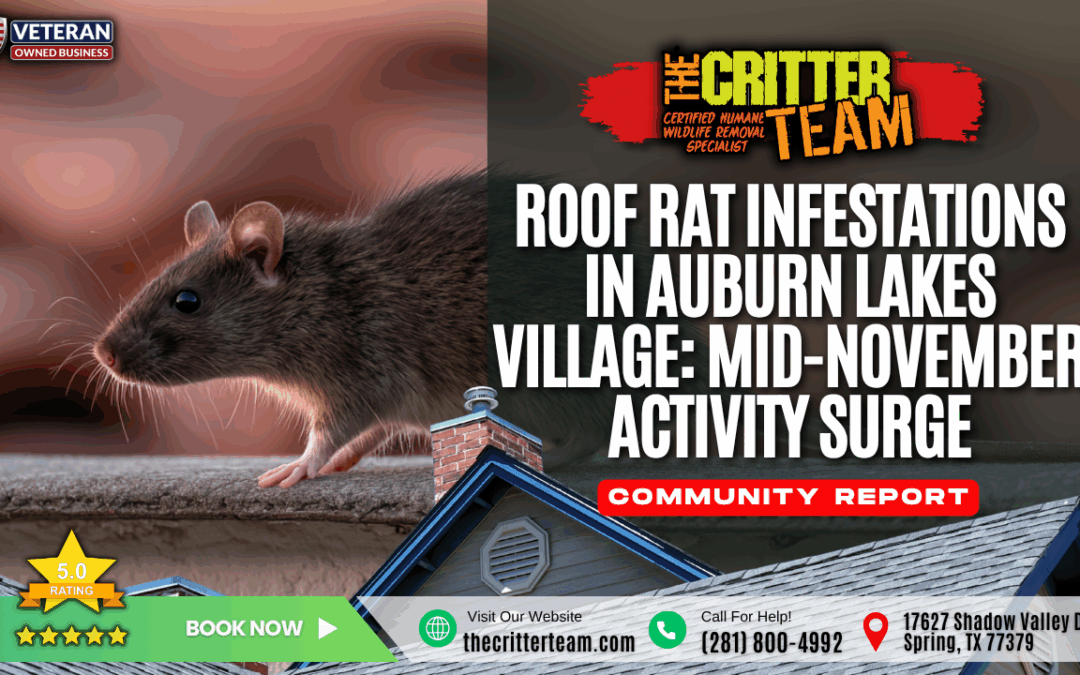Roof Rat Infestations in Auburn Lakes Village_ Mid-November Activity Surge Spring, TX The Critter Team (281) 800-4992