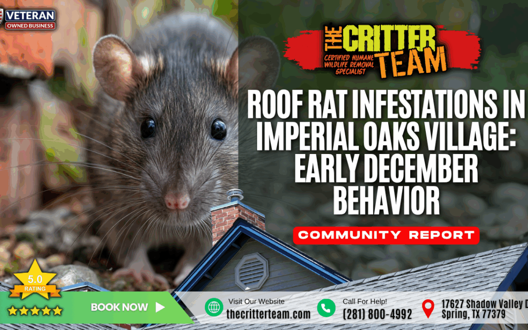 Roof Rat Infestations in Imperial Oaks Village: Early December Behavior