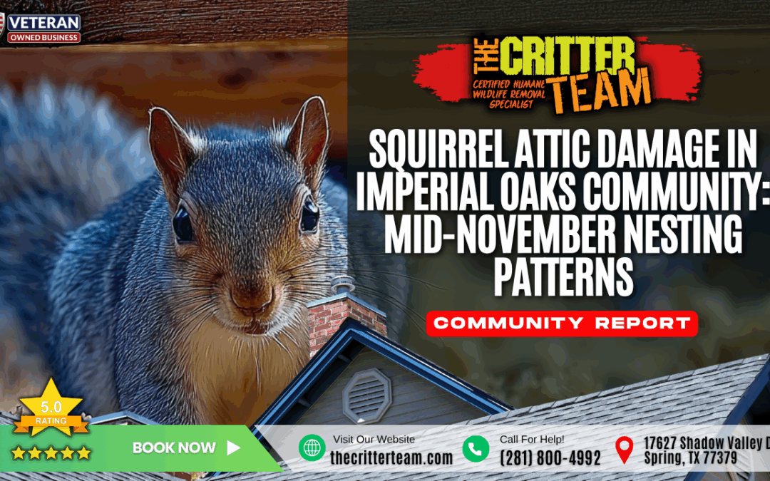 Squirrel Attic Damage in Imperial Oaks Community: Mid-November Nesting Patterns