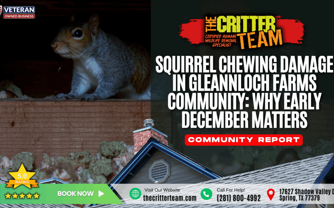 Squirrel Chewing Damage in Gleannloch Farms Community: Why Early December Matters