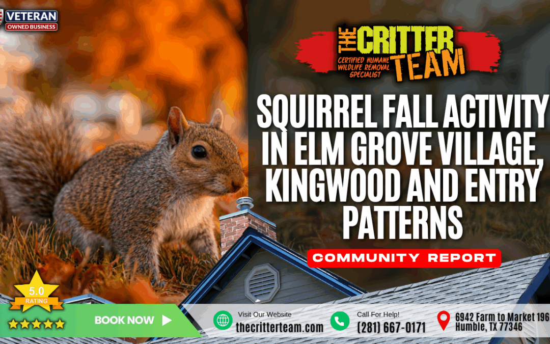 Squirrel Fall Activity in the Elm Grove Village Neighborhood of Kingwood, TX and Entry Patterns