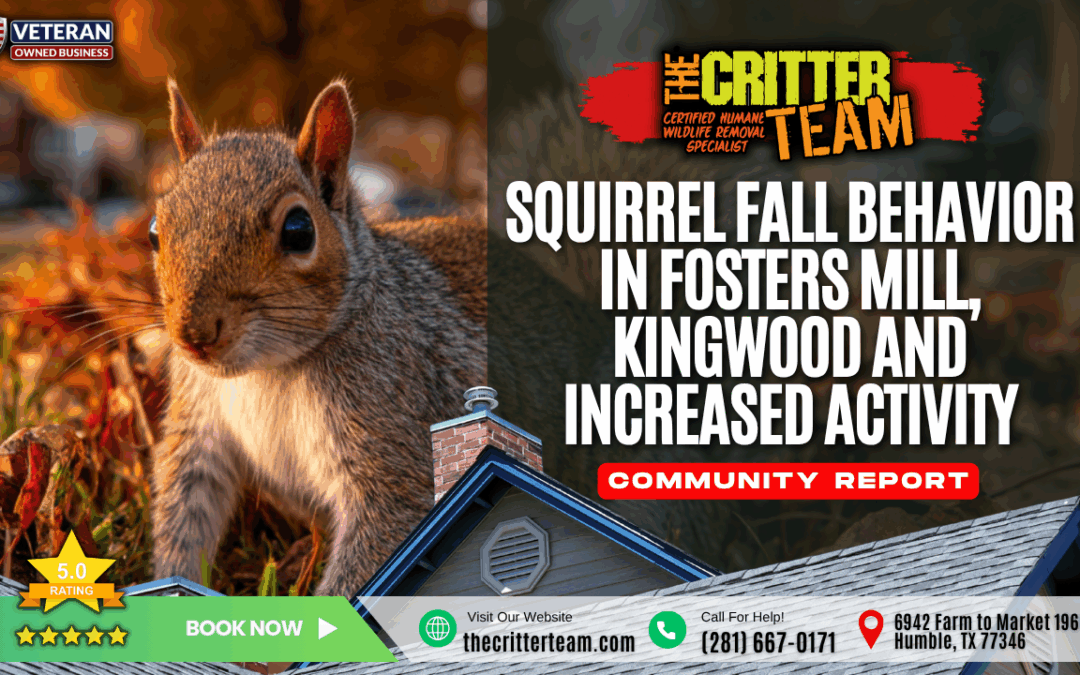 Squirrel Fall Behavior in the Fosters Mill Neighborhood of Kingwood, TX and Increased Activity
