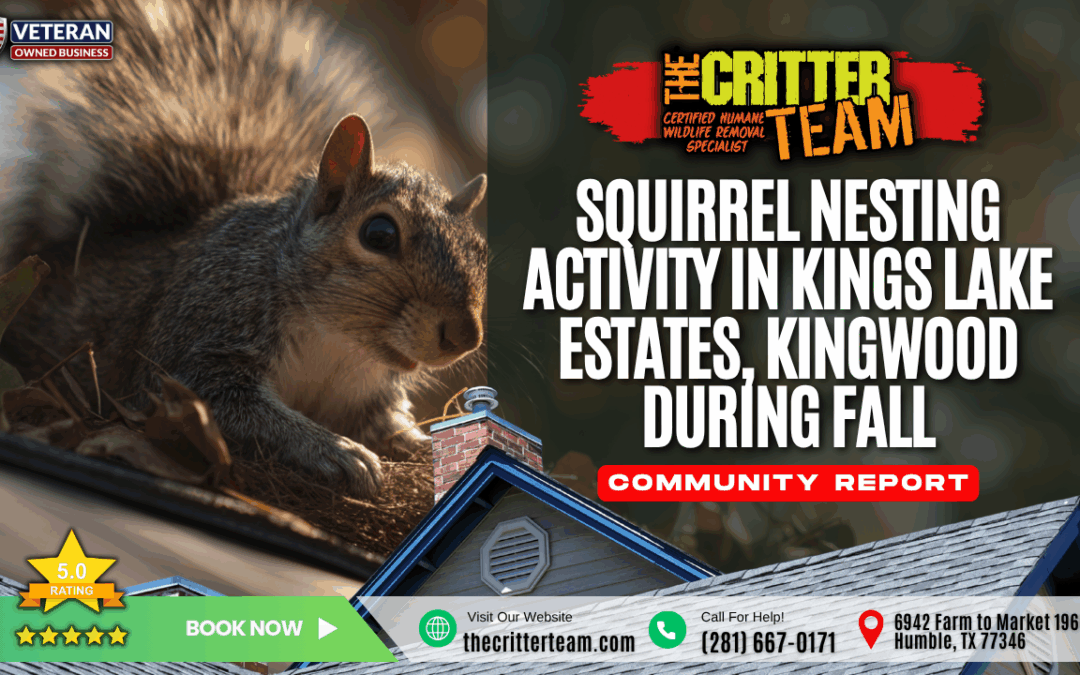 Squirrel Nesting Activity in the Kings Lake Estates Neighborhood of Kingwood, TX During Fall