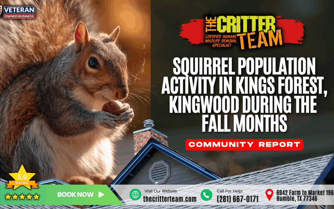 Squirrel Population Activity in the Kings Forest Neighborhood of Kingwood, TX During the Fall Months