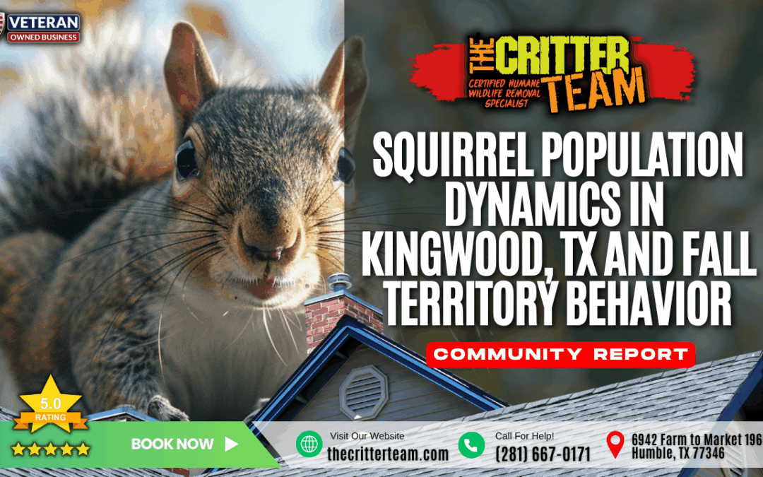 Squirrel Population Dynamics in Kingwood, TX and Fall Territory Behavior