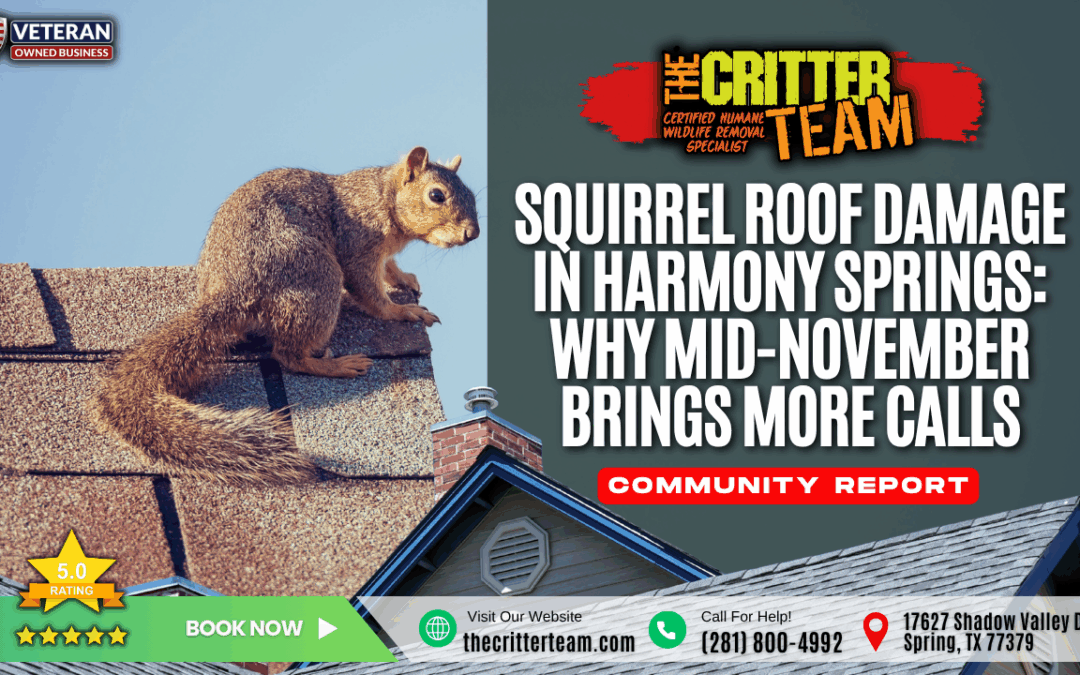 Squirrel Roof Damage in Harmony Springs: Why Mid-November Brings More Calls