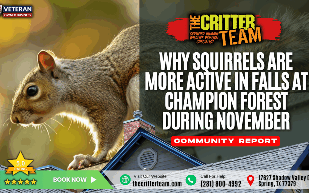 Why Squirrels Are More Active in Falls at Champion Forest During November
