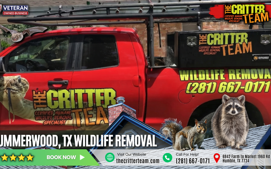 Summerwood, TX Wildlife Removal